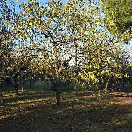 The Orchard House Daire Castiglione del Lago