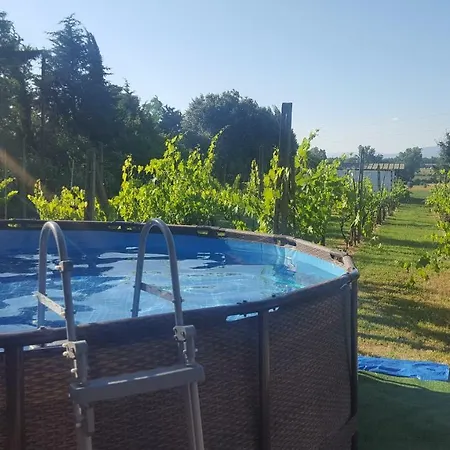 The Orchard House * Castiglione del Lago