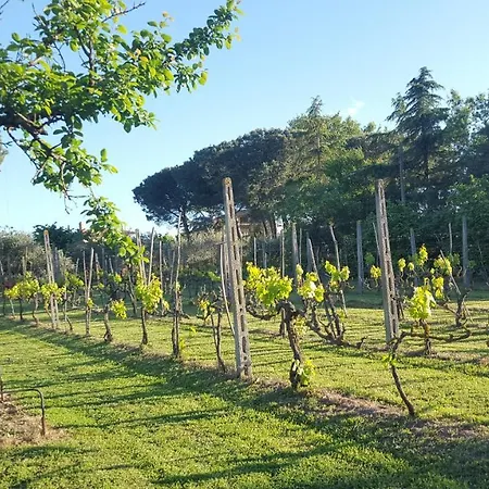 The Orchard House * Castiglione del Lago