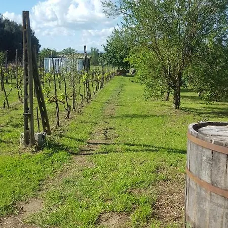 The Orchard House Castiglione del Lago